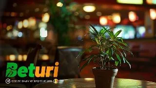 4 locuri unde poti juca eco friendly
