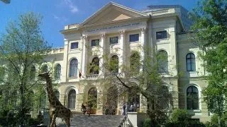 Se redeshid muzeele din Bucuresti